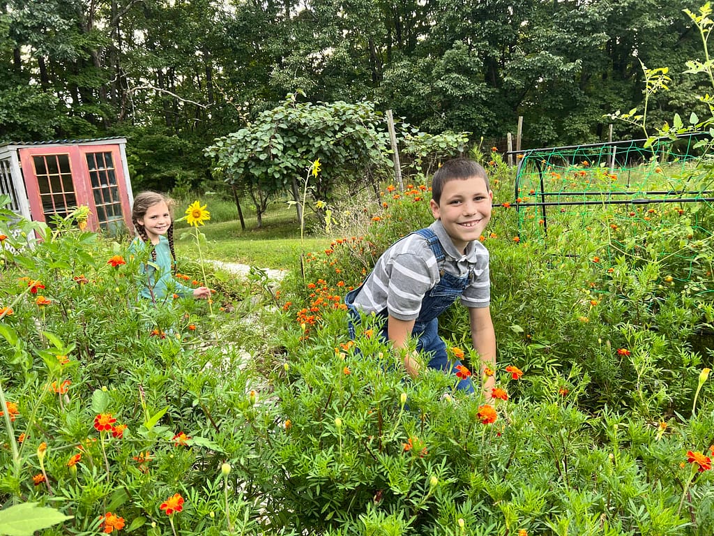 10 year old boy working in the garden