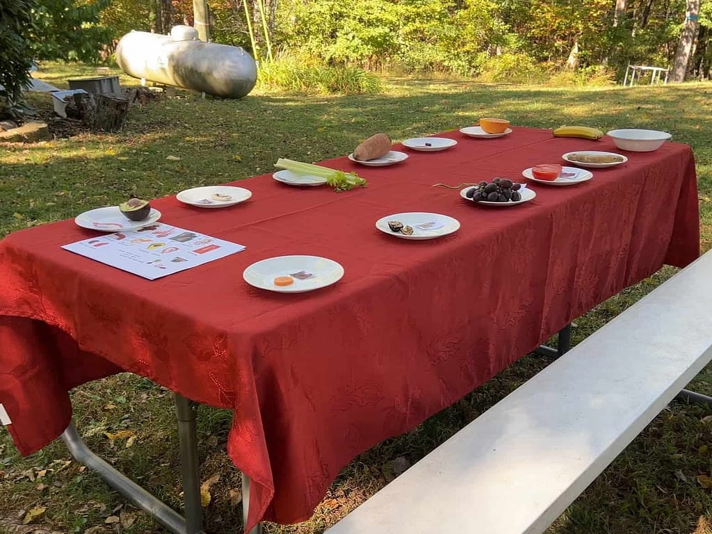 table set up for Doctrine of Signatures