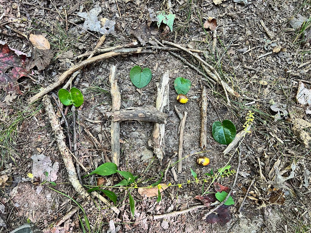 a "hi" sign written with sticks