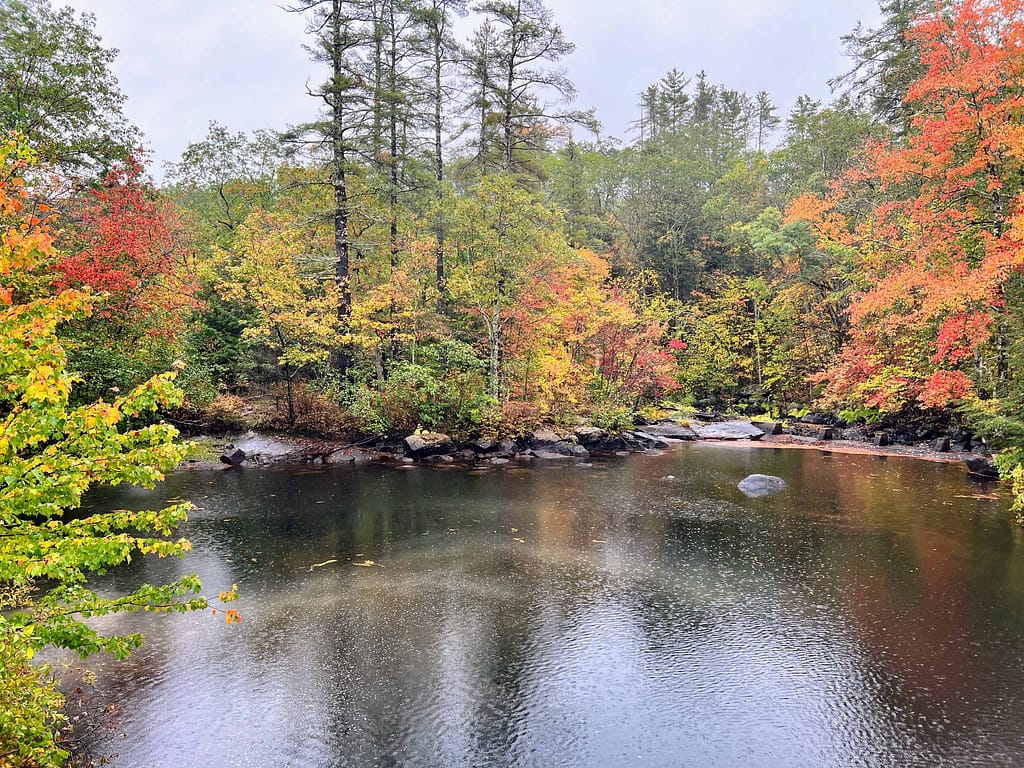fall scenery from covered bridge