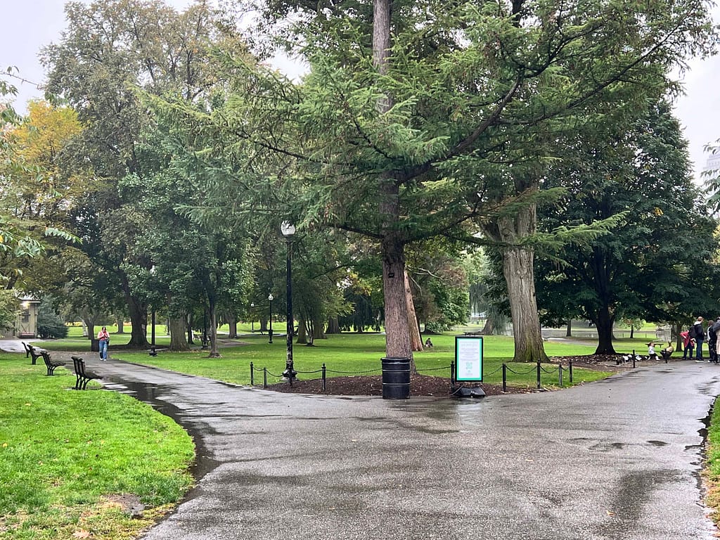 public garden in Boston