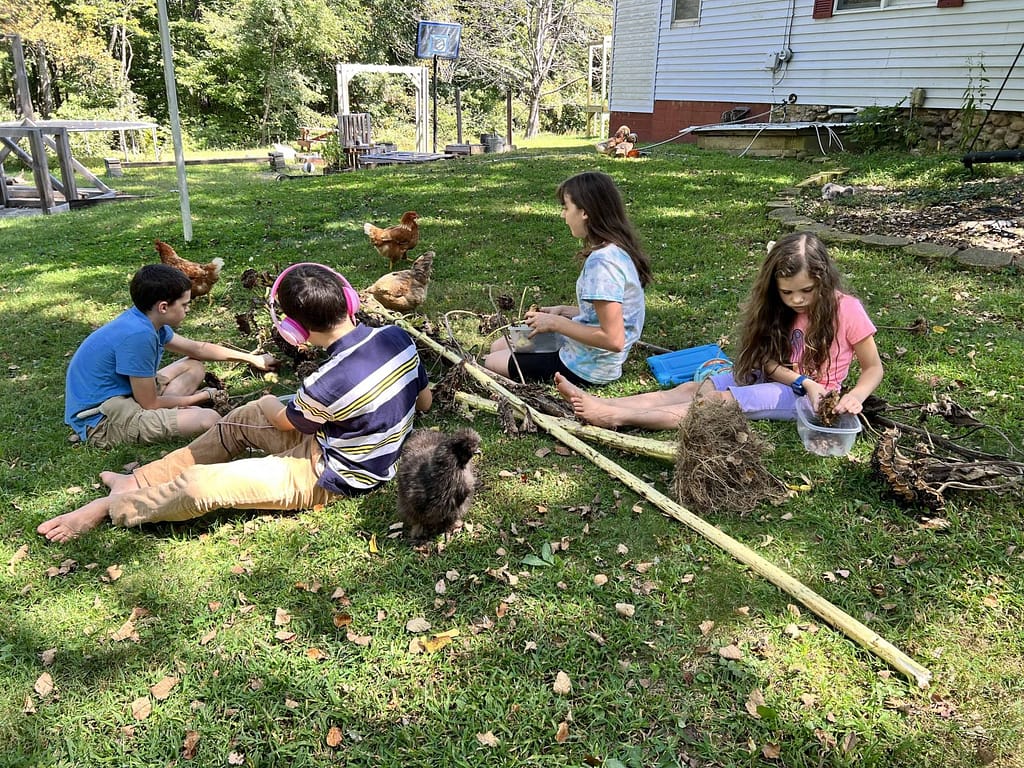kids shelling sunflower seeds
