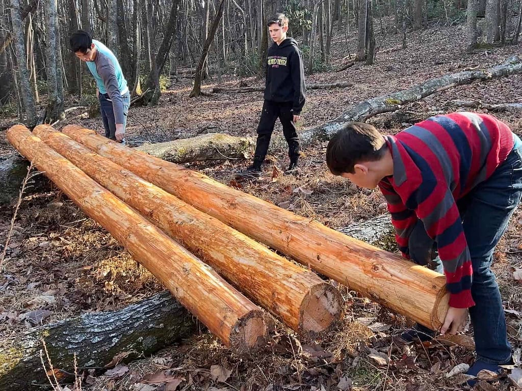 3 brothers push logs by each other