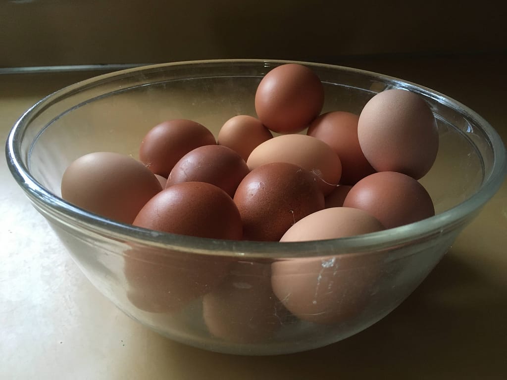 bowl of fresh eggs sitting on the counter