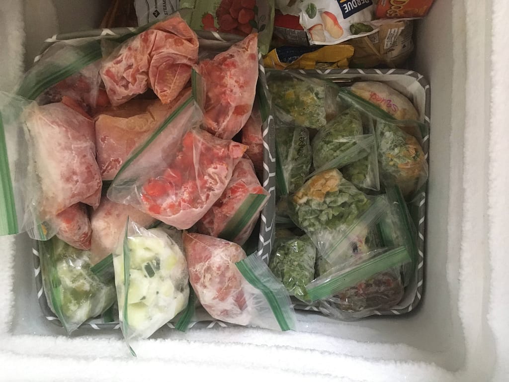 ziplock bags full of tomatoes, peppers, zucchini, squash, blueberries in the deep freezer.
