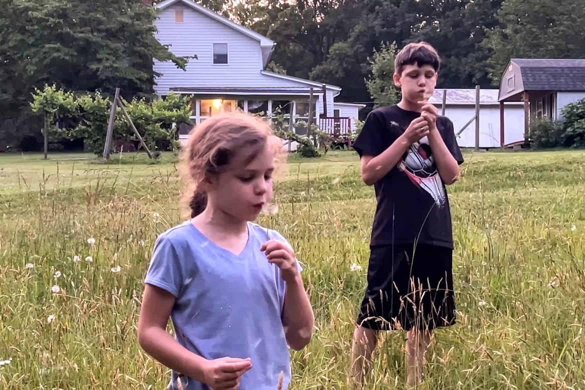 two kids blowing on dandelions in front of a farmhouse
