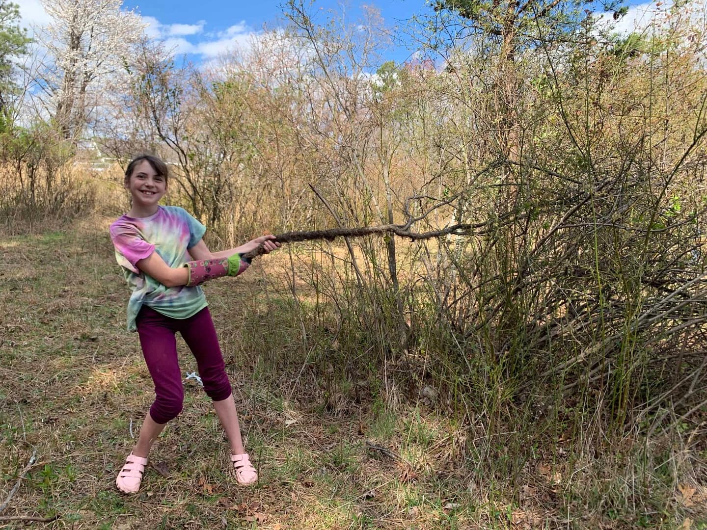 12 year old girl pulling tree out of blueberry bushes