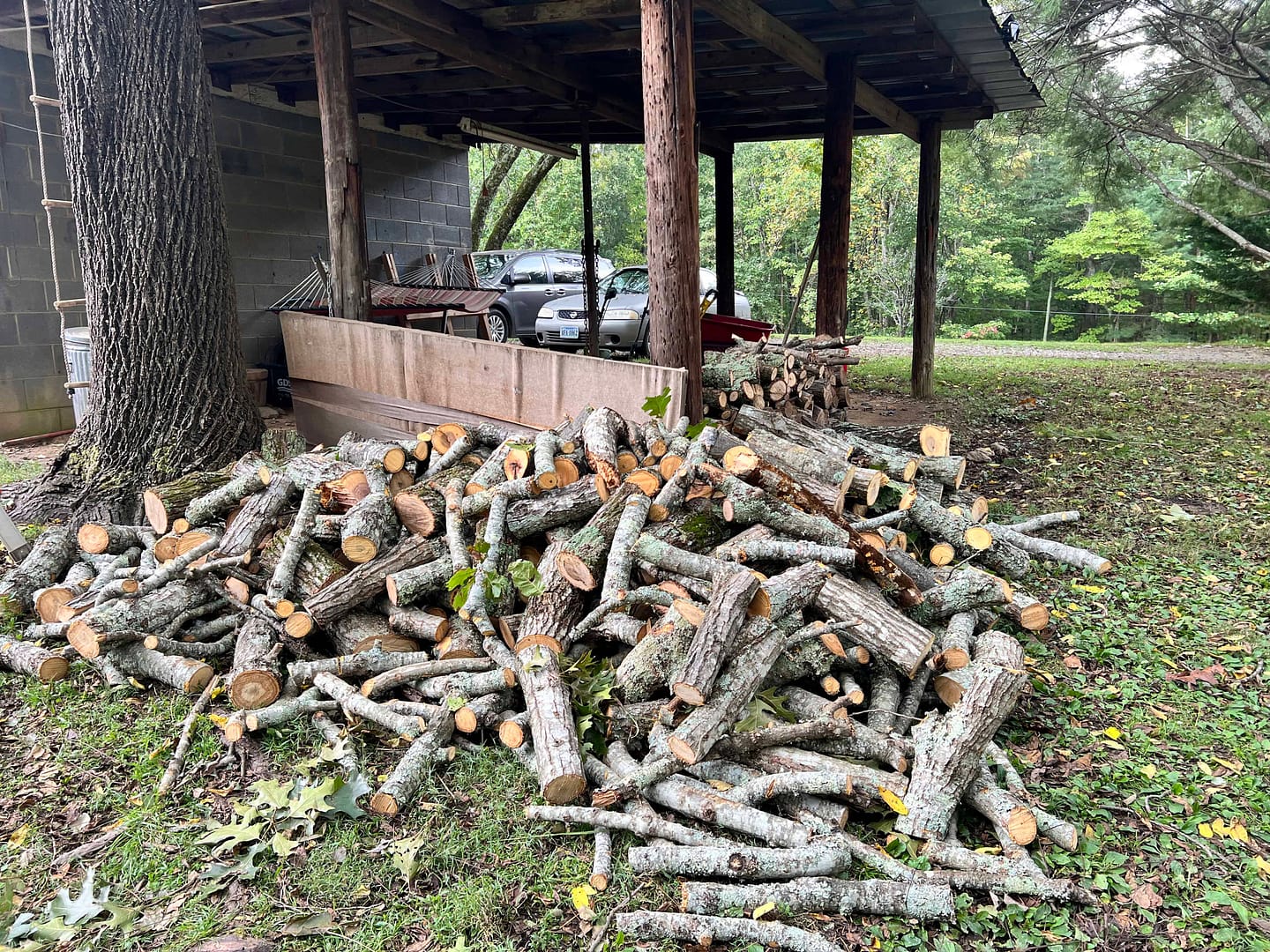 stack of firewood after cutting up a fallen tree
