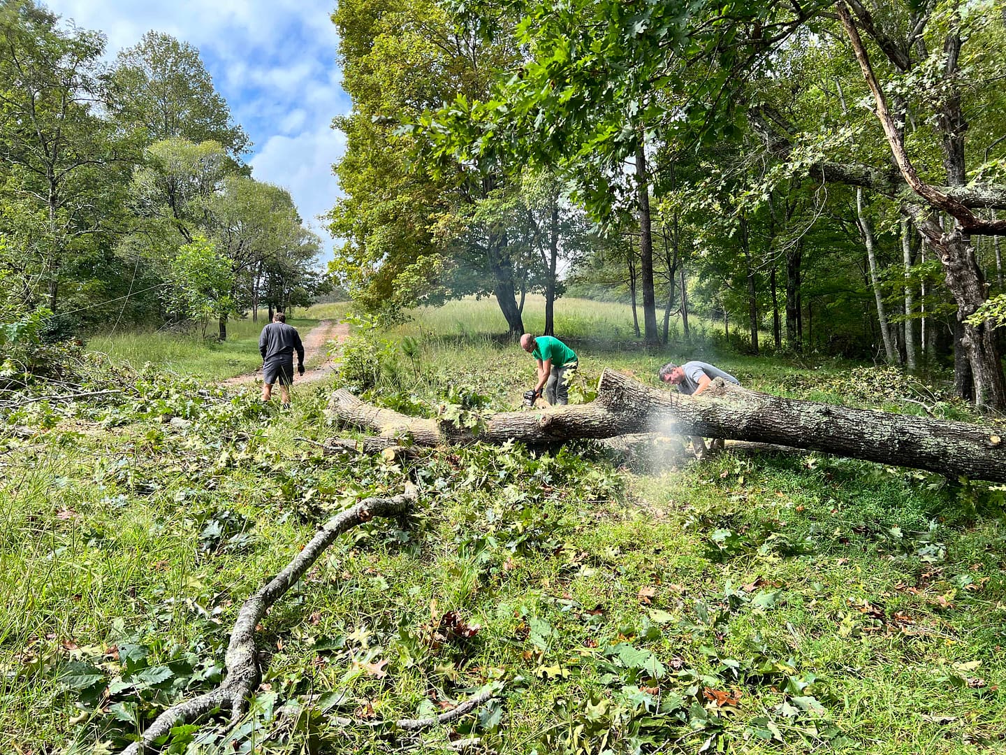 guys almost done cutting up a fallen tree across a driveway.