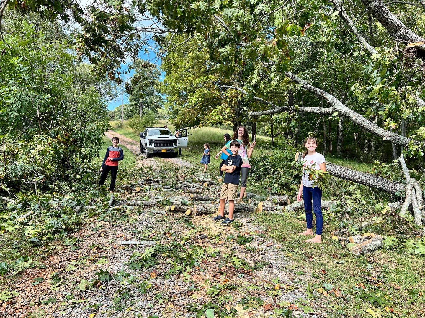 kids cleaning up a fallen tree during Hurricane Helene