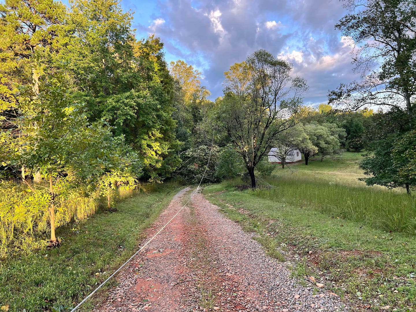power lines down on a rural driveway