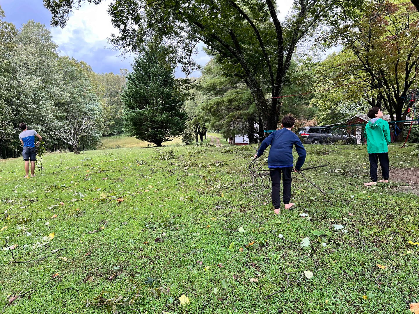 cleaning up fallen branches after a storm