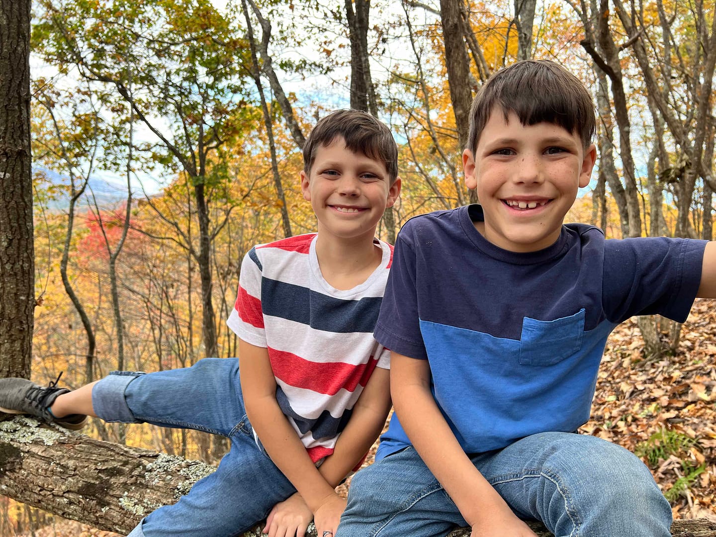 2 boys sitting on a tree limb and smiling