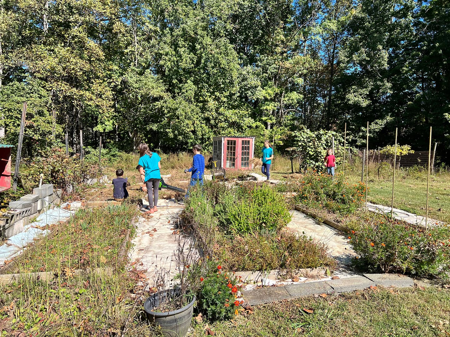 kids working in the garden