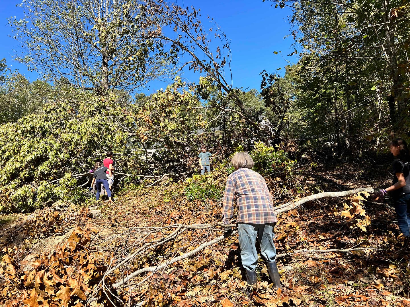 cleaning up branches from Hurricane Helene