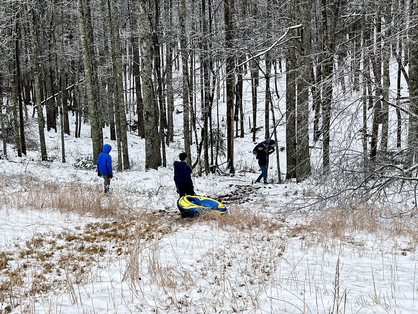kids sledding in the woods