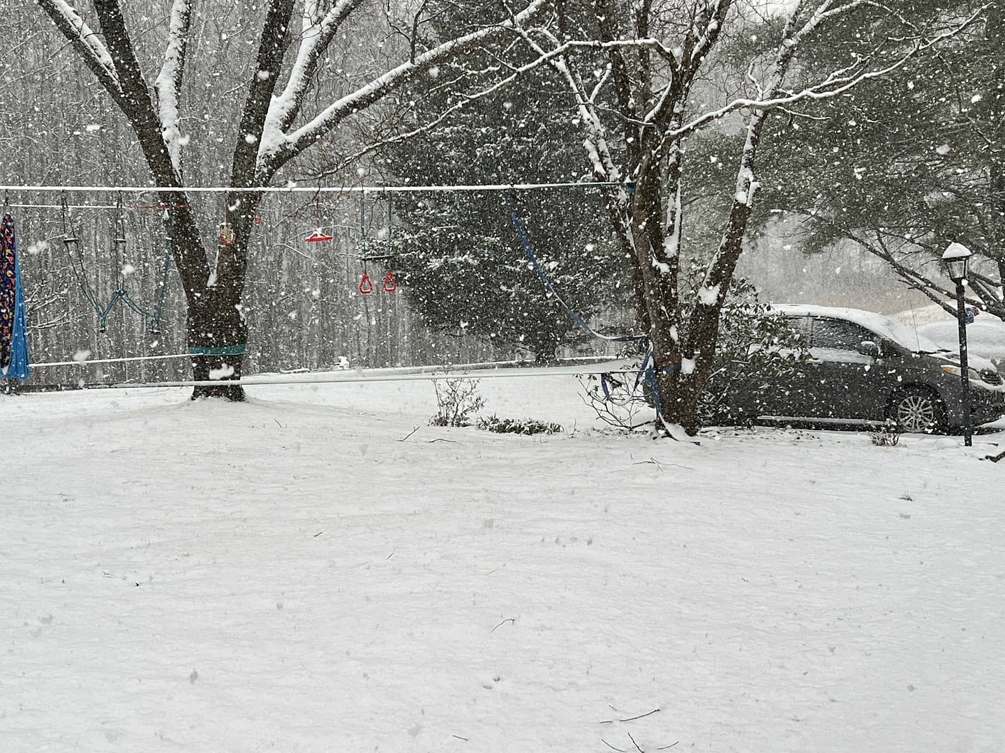snow falling