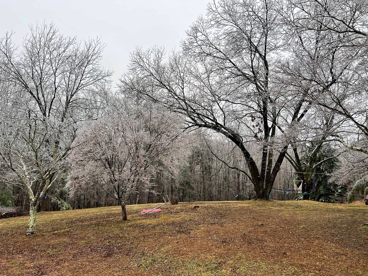 country yard in ice storm
