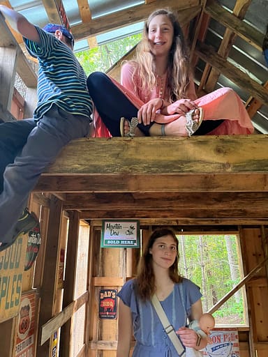 kids playing in a treehouse