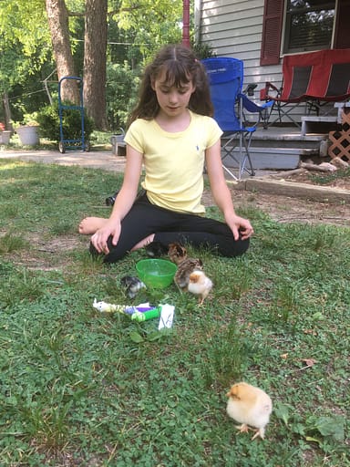 11 year old playing with chicks