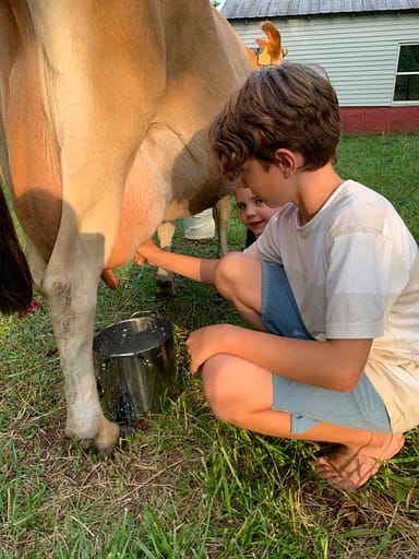 9 year old milks a cow