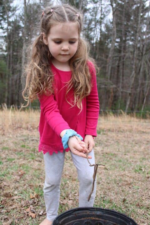 5 year old holding a worm on a stick