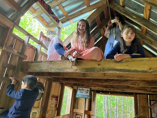kids playing in a treehouse