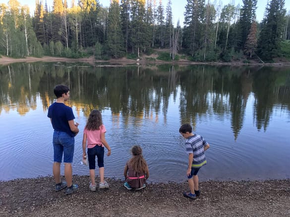 four kids with their backs to the camera looking at Doglake and the refelection of pine trees