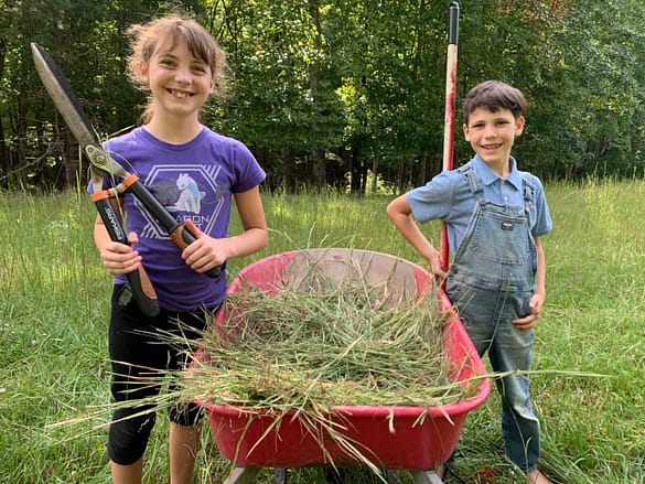 brother and sister with wheelbarrow of hay