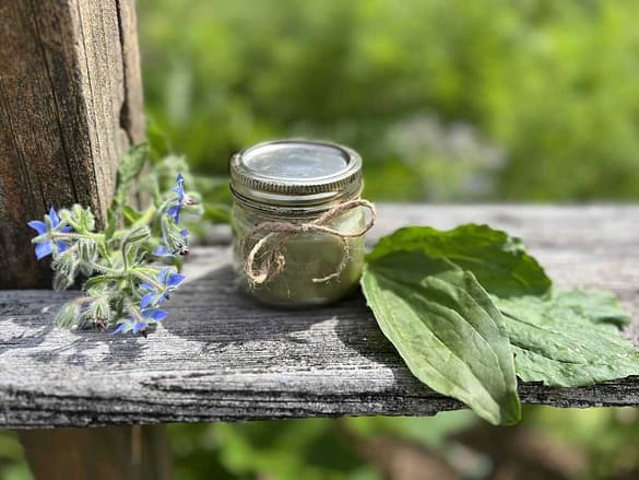 jar of homemade crock pot plantain salve