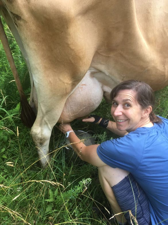 mom milking her cow for the first time