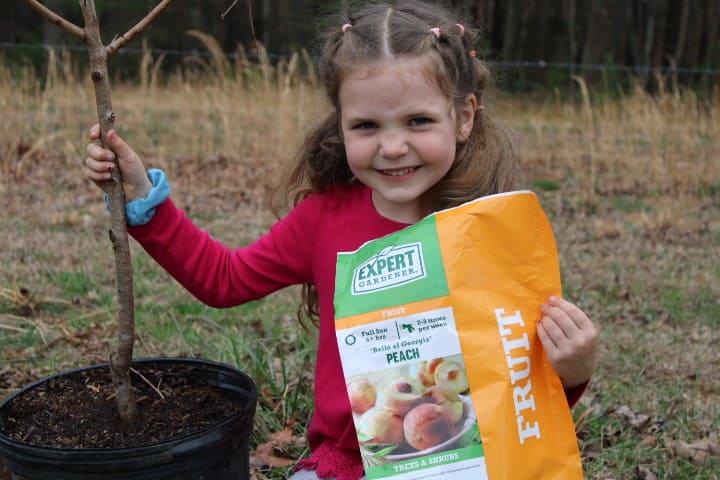 Girl planting a peach tree