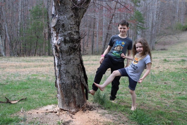After Mom cuts around the base, two kids get ready to kick over an old dead apple tree stump.