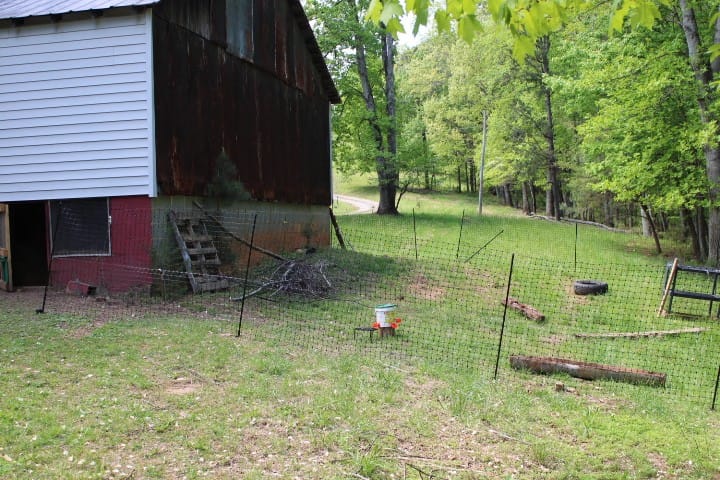 new chicken fence on the side of the barn.