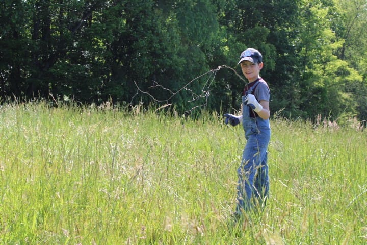 7 year old boy in overalls carries branches through a field.