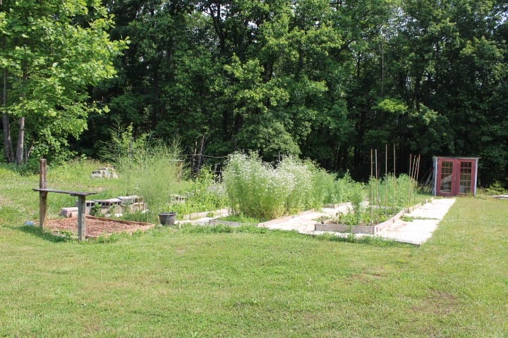garden beds in May