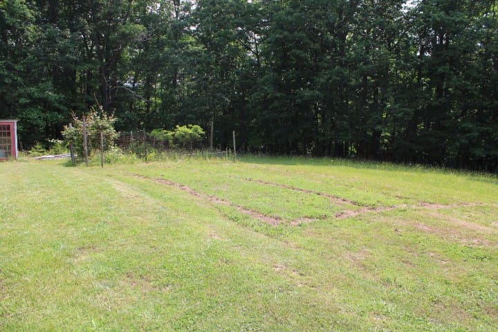 plot rototiled for pumpkins