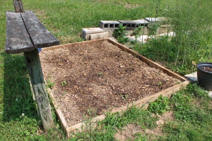 watermelon garden bed in May