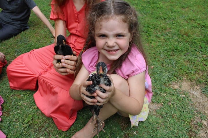 5 year old holds chick