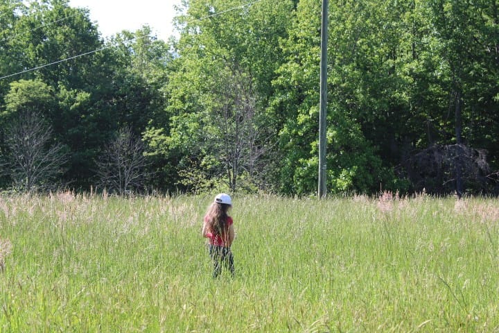 5 year old girl in a field in spring.