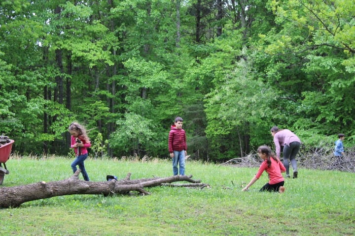 kids picking up sticks from a tree that was cut down.