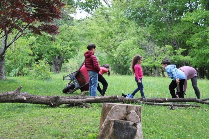 kids pick up wood and sticks but then the wheelbarrow falls over