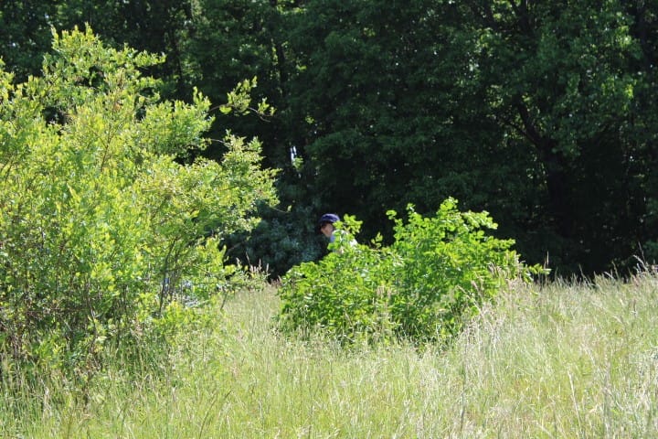 a mom carries branches through a field