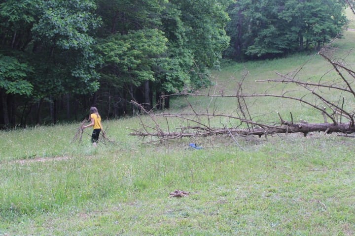 hauling branches to burn pile