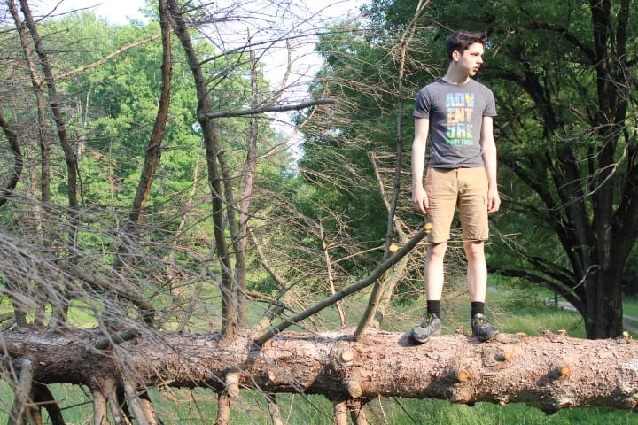 15 year old on fallen Norway spruce tree