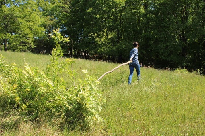 a 15 year-old boy drags a small tree through a grassy field.