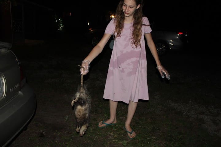 13 year old holding a dead possum by the tail
