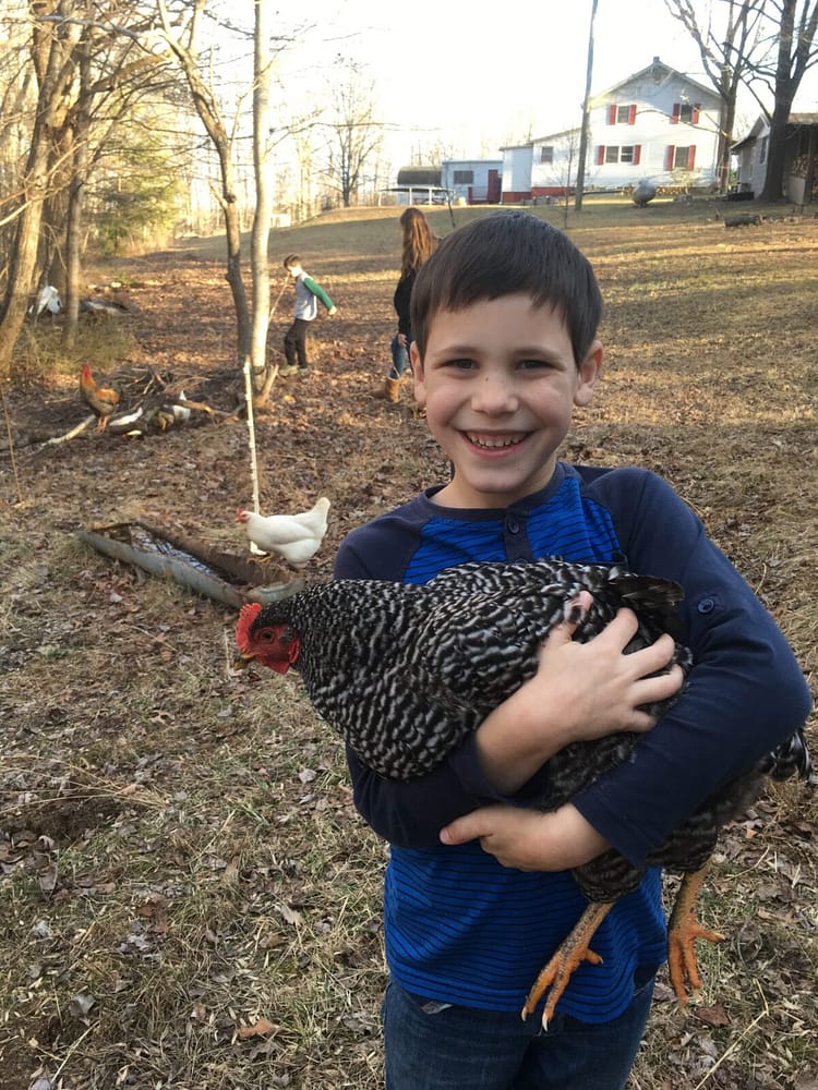 7 year old boy in blue shirt holding a black and white chicken and smiling