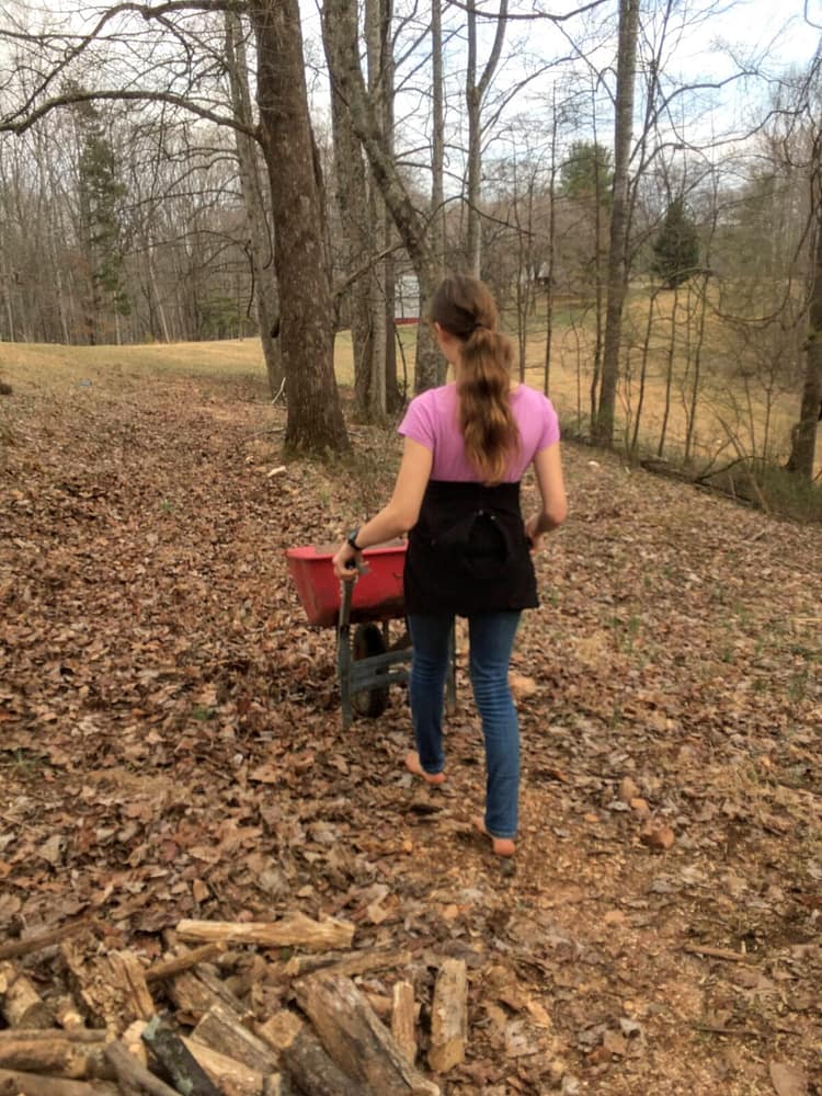 girl carrying wheelbarrow of dirt away from the camera