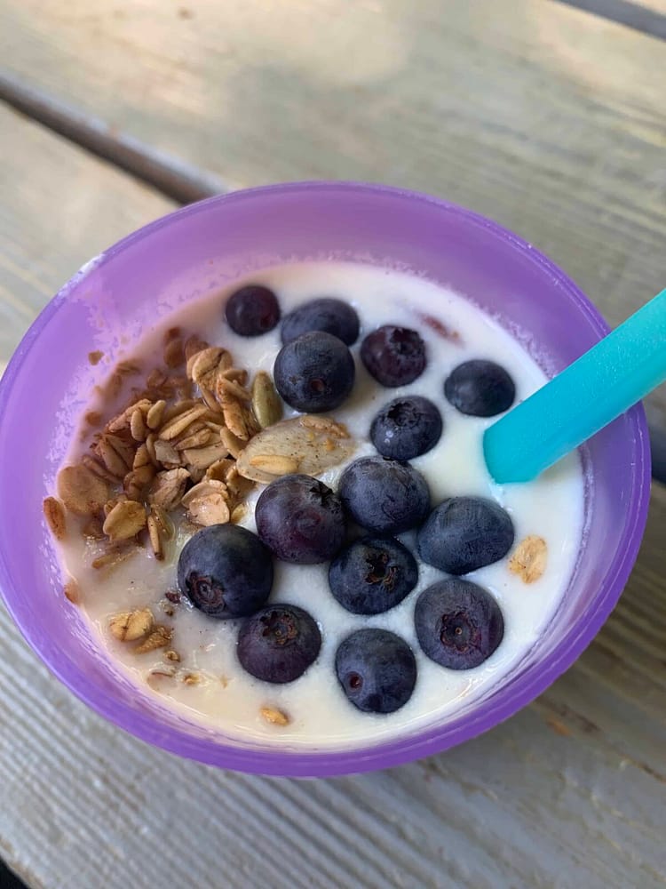 homemade.yogurt purple cup with blueberries and granola in it